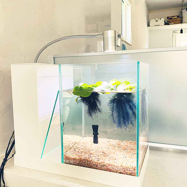 GEX AQUA-U アクアユー 水槽 未使用品 かもし GEX AQUA-U アクアユー 水槽 未使用品 かもし