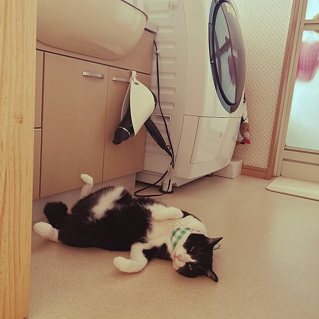 haruさんの実例写真