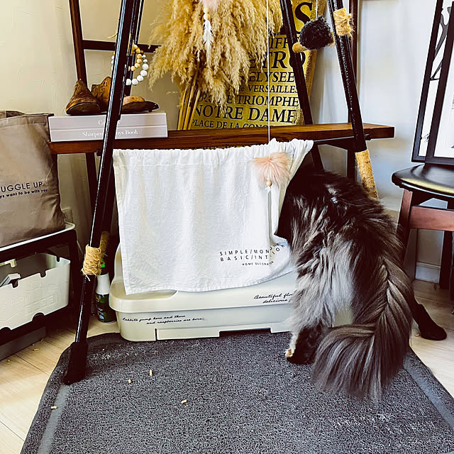 mayumiさんの部屋