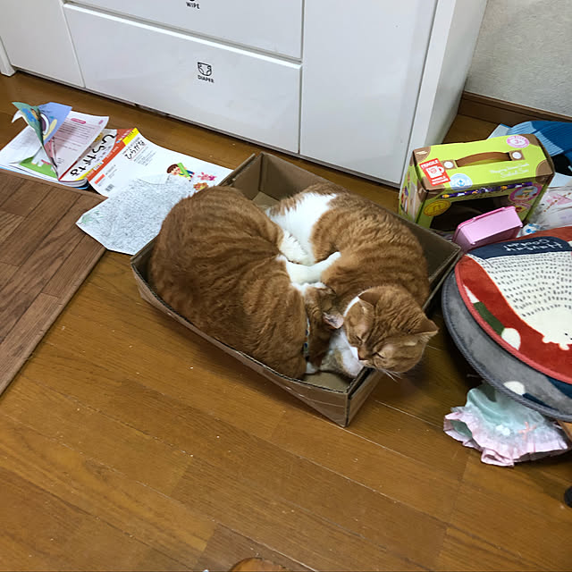 pikkariさんの実例写真