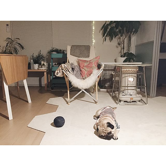 YUIさんの実例写真