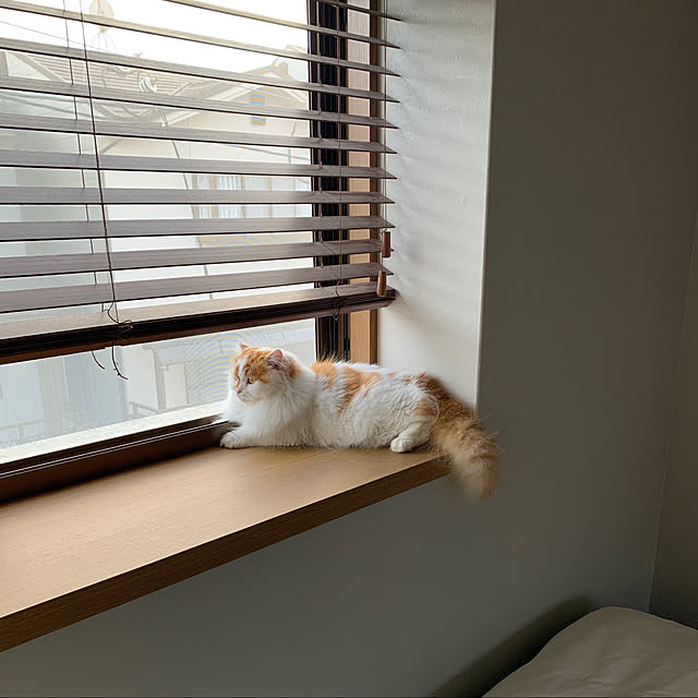 keiさんの実例写真