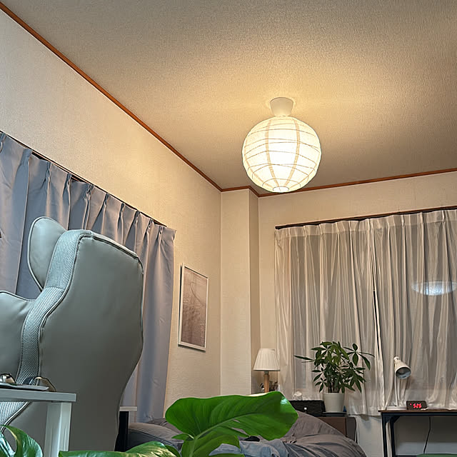 壁/天井/照明/IKEA/一人暮らし/観葉植物のインテリア実例 - 2024-02-14 21:59:21