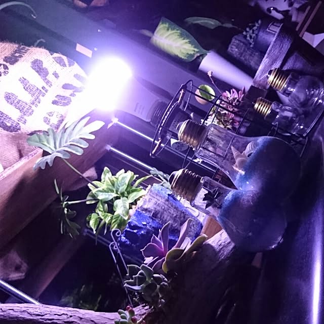 norikuuさんの実例写真