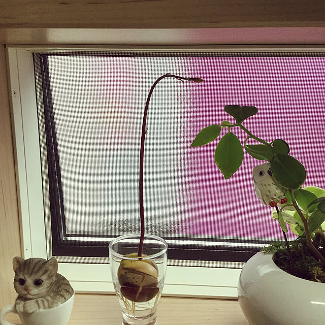 richanさんの実例写真