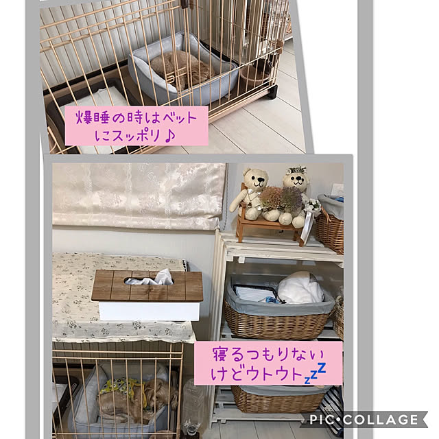 miyumiyuさんの実例写真