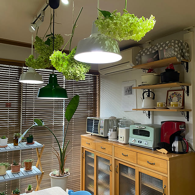 maronさんの部屋