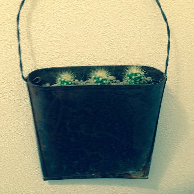 cathscatsさんの実例写真