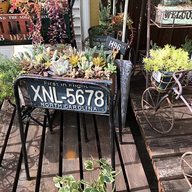 nokoさんの実例写真