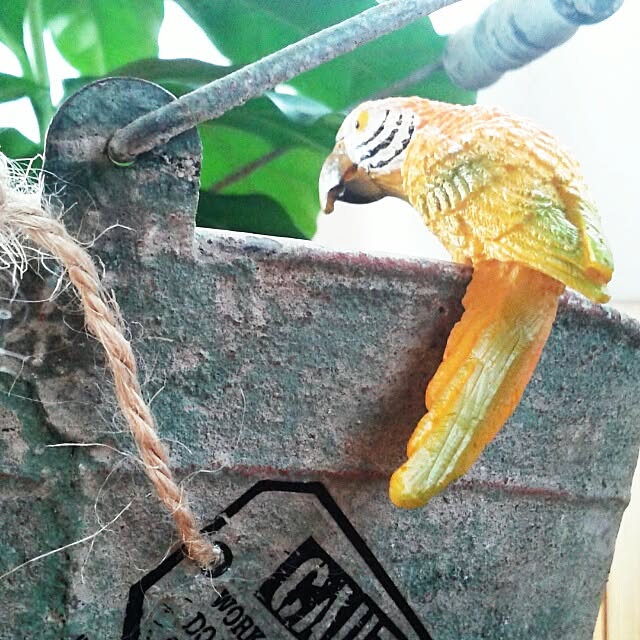 aiuekkoさんの実例写真