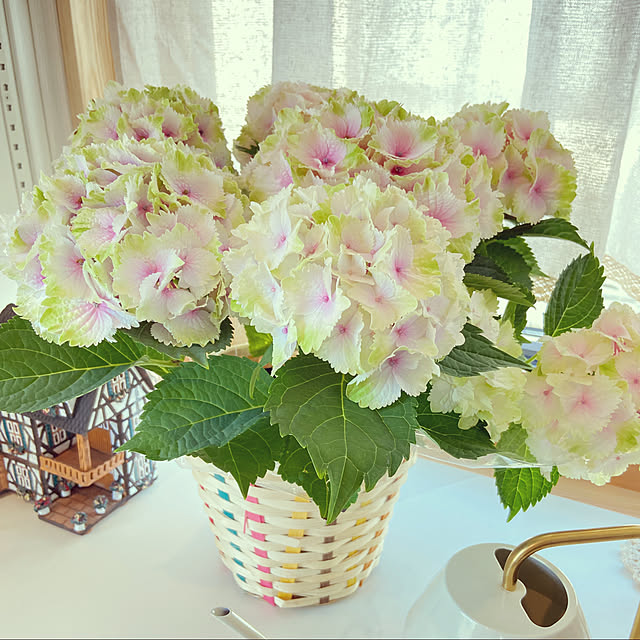 MeineLieblingssachenさんの実例写真