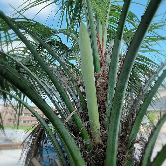 mmzさんの実例写真