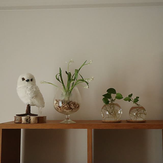 Summerさんの部屋