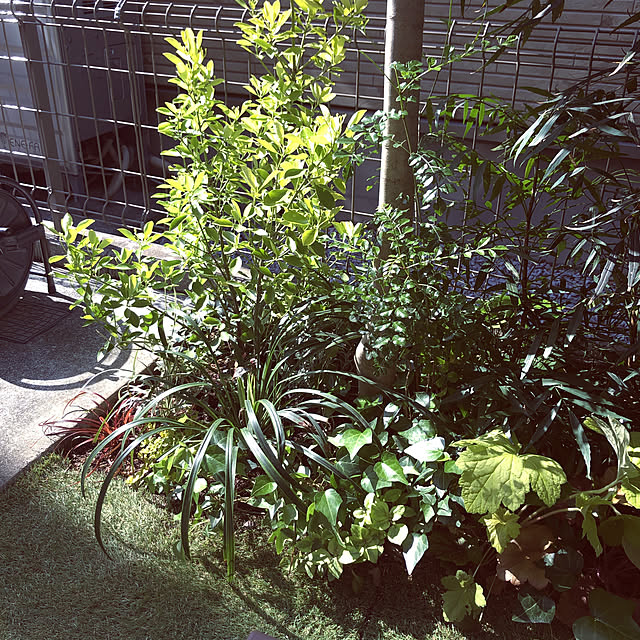 Kanaさんの実例写真