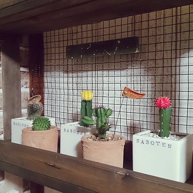 miporin0711さんの実例写真