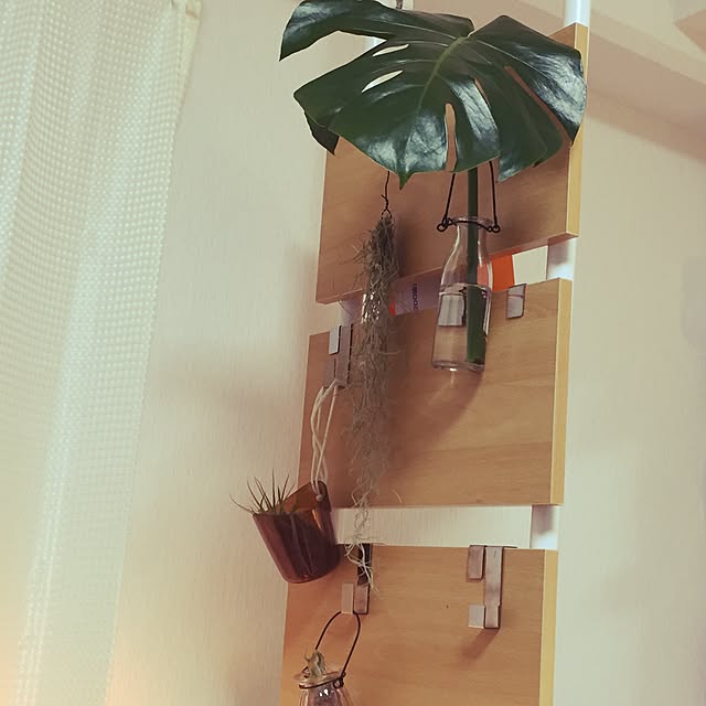 kniさんの実例写真