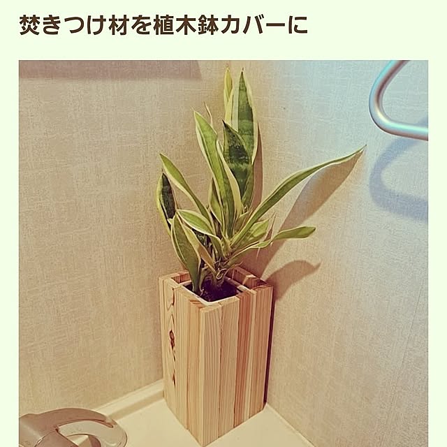 sakura_3さんの実例写真