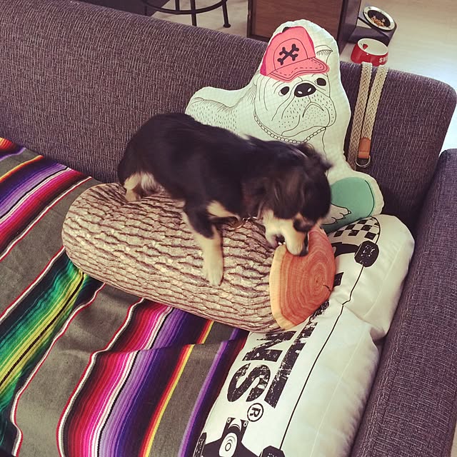 torayaさんの実例写真