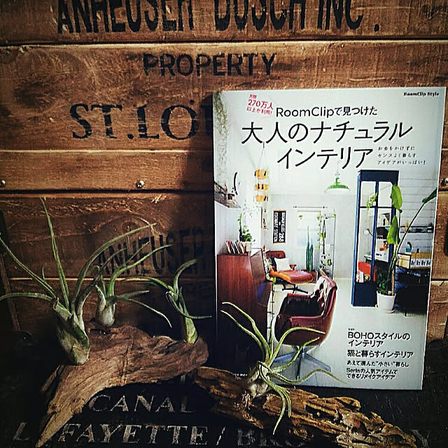 玄関/入り口/RoomClipStyle/大人のナチュラルインテリア/木箱/DIY...などのインテリア実例 - 2017-12-11 17:59:20