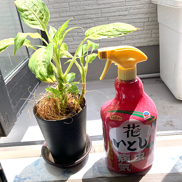 MOMOMAMAさんの実例写真