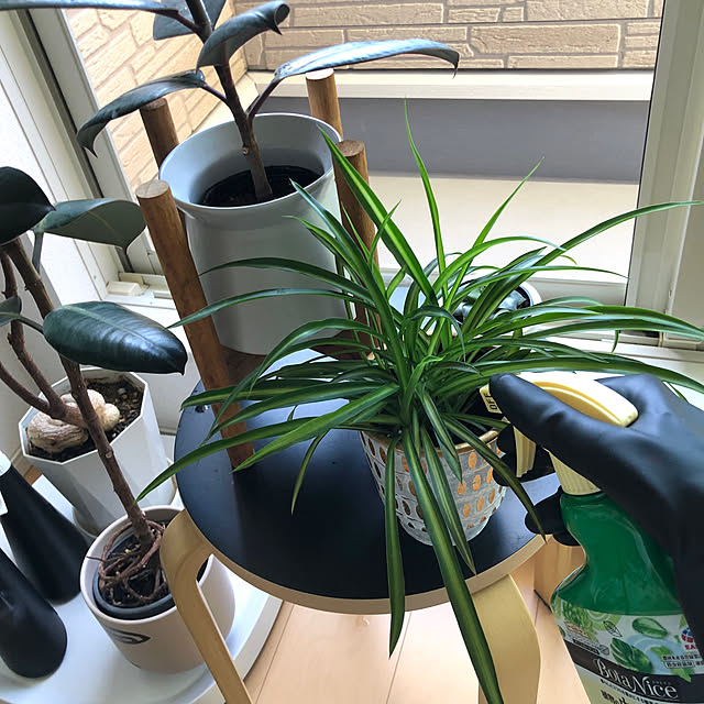 eriさんの部屋