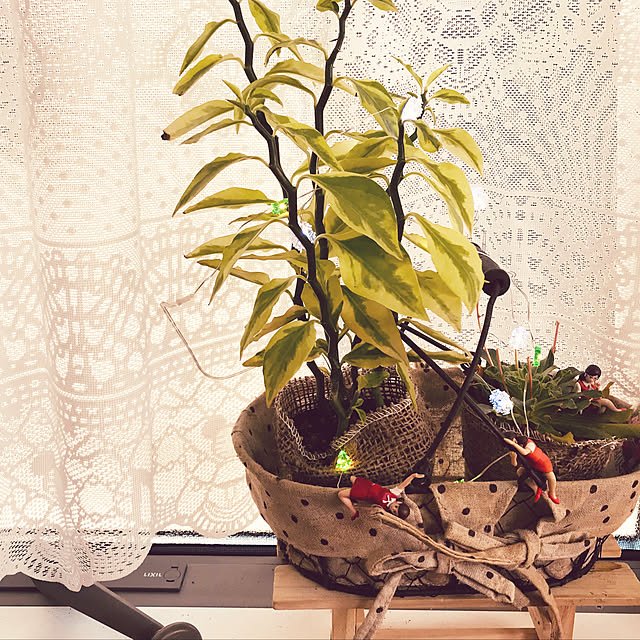 aminamiさんの実例写真