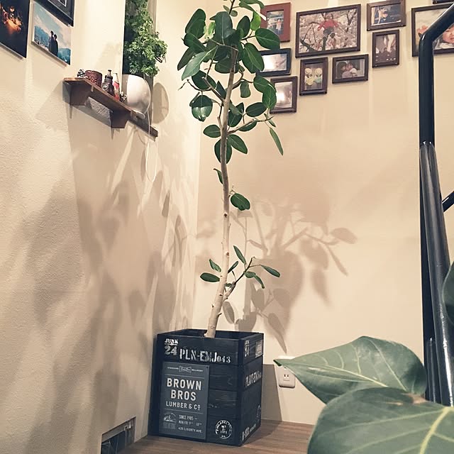emjahさんの実例写真