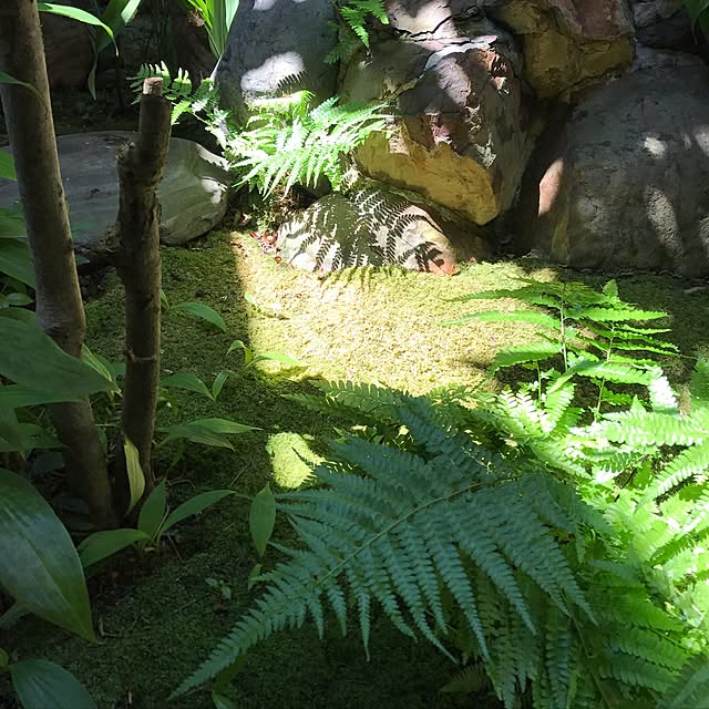 KAZさんの実例写真