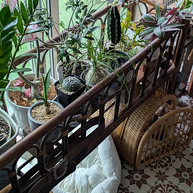 akiさんの部屋
