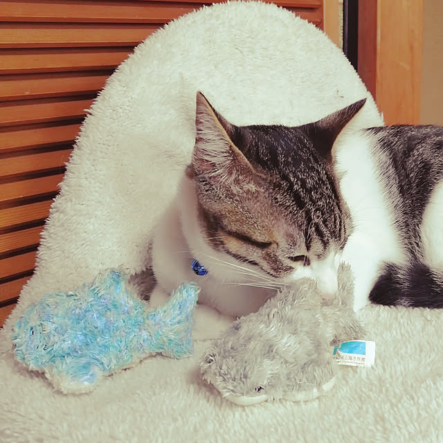 teruminさんの実例写真