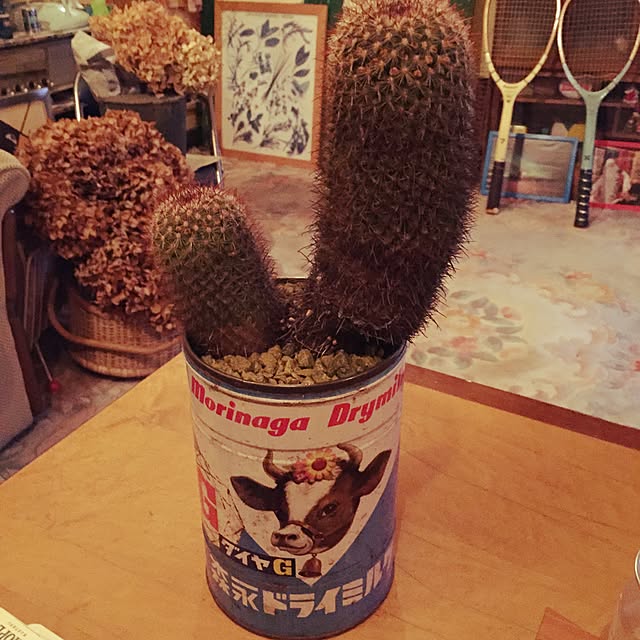 Masahideさんの実例写真