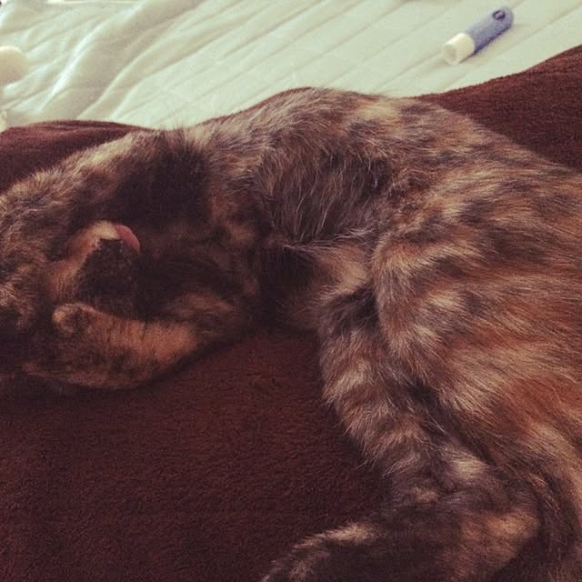 nmeeeさんの実例写真
