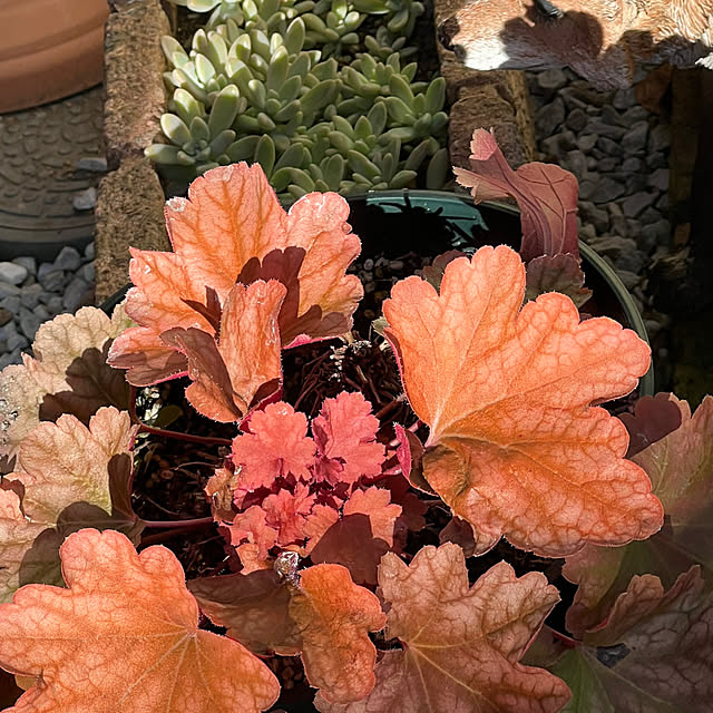 nannoさんの実例写真