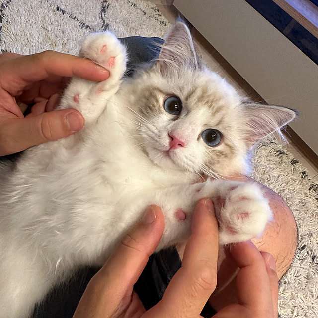 manaさんの部屋