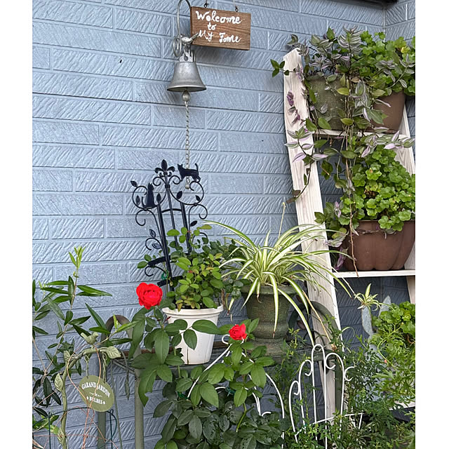 CoCo0617さんの部屋