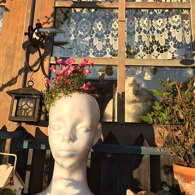 shigimiさんの実例写真