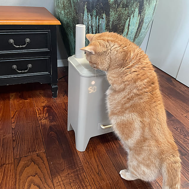 chinchillaさんの実例写真