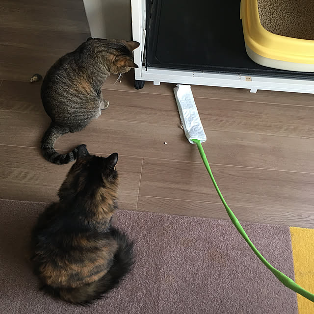 mikomaruさんの実例写真
