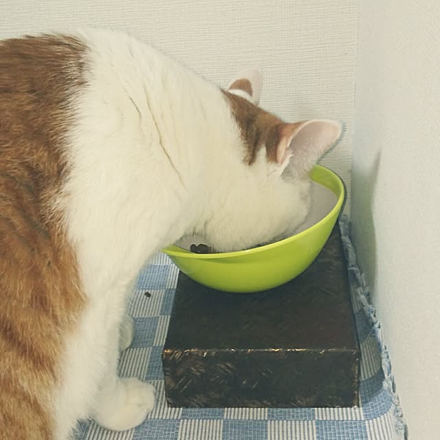 porinさんの実例写真