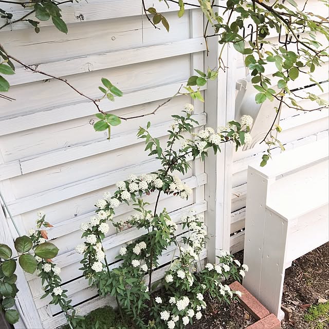 ameriさんの実例写真