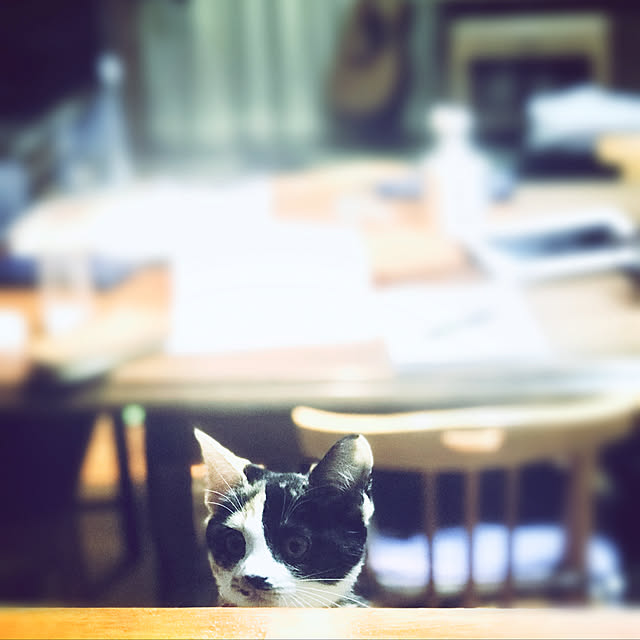 maroさんの実例写真