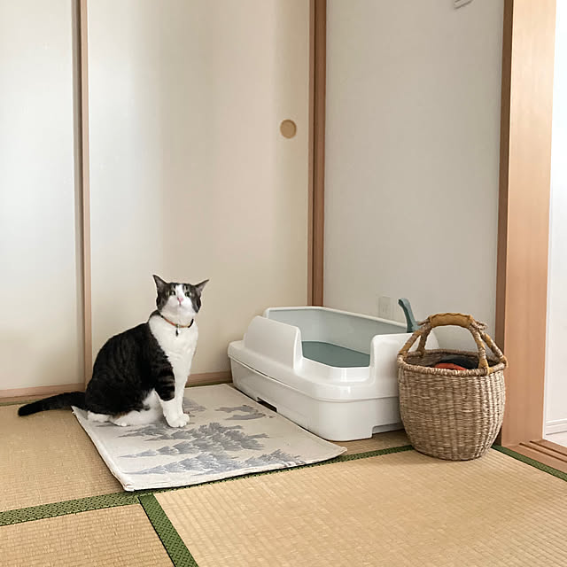 rinonori3さんの部屋