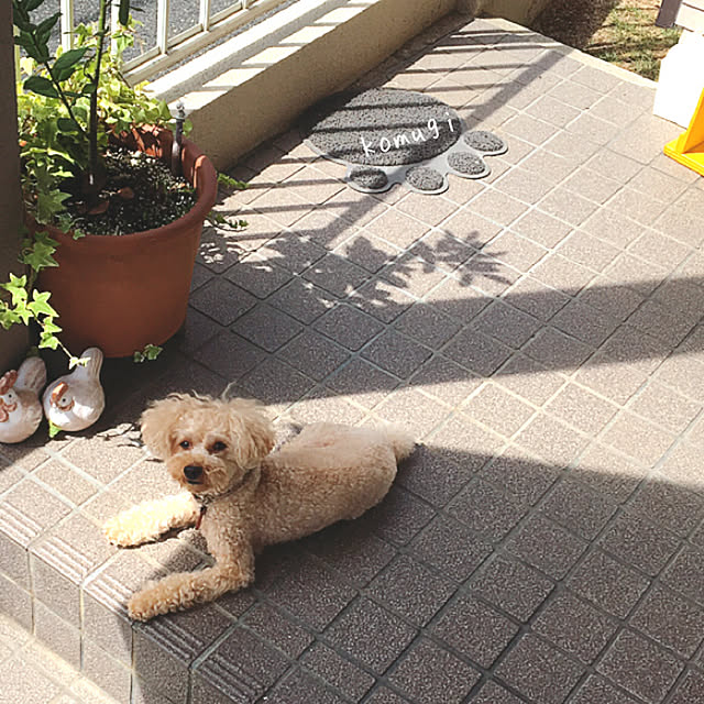 jun15さんの実例写真