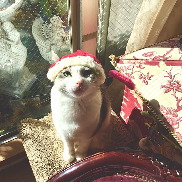 emmyyさんの実例写真