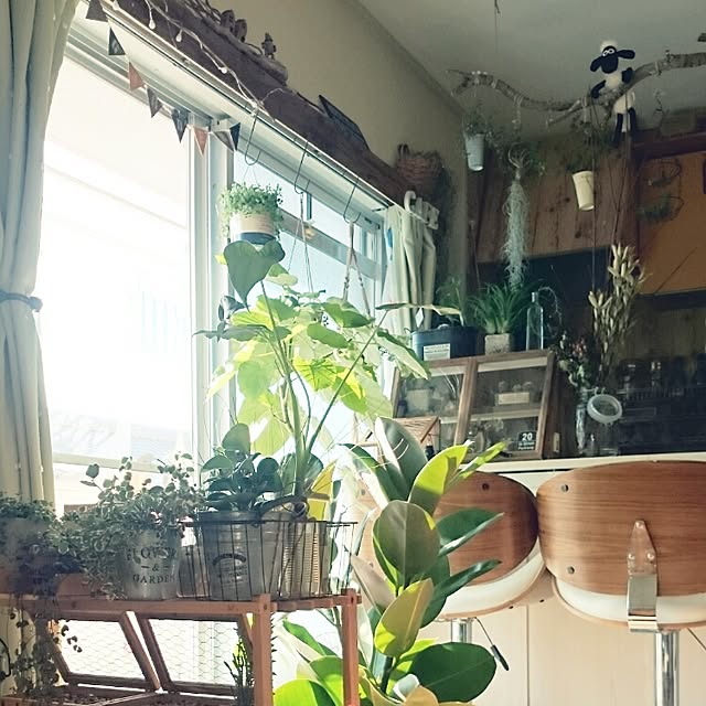 ripさんの実例写真