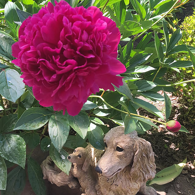 mary_loveさんの実例写真