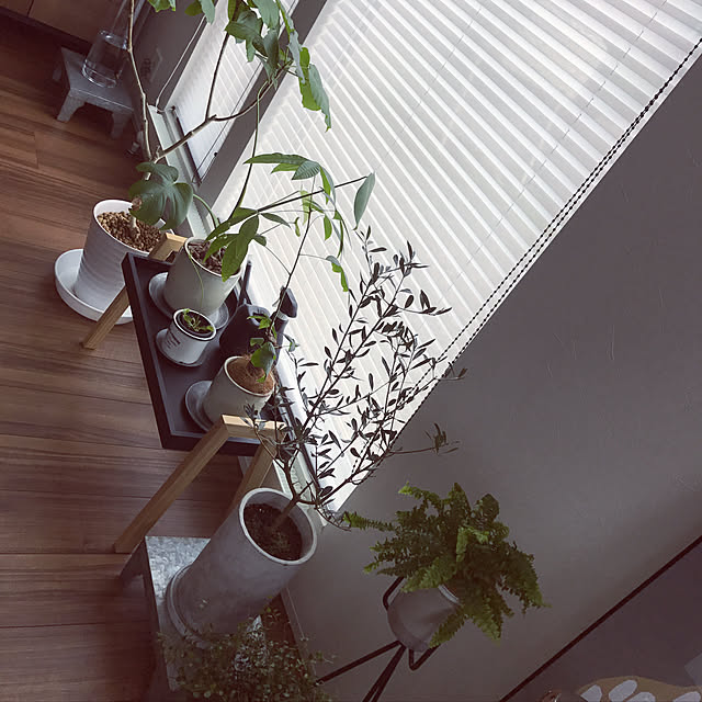 achiさんの実例写真