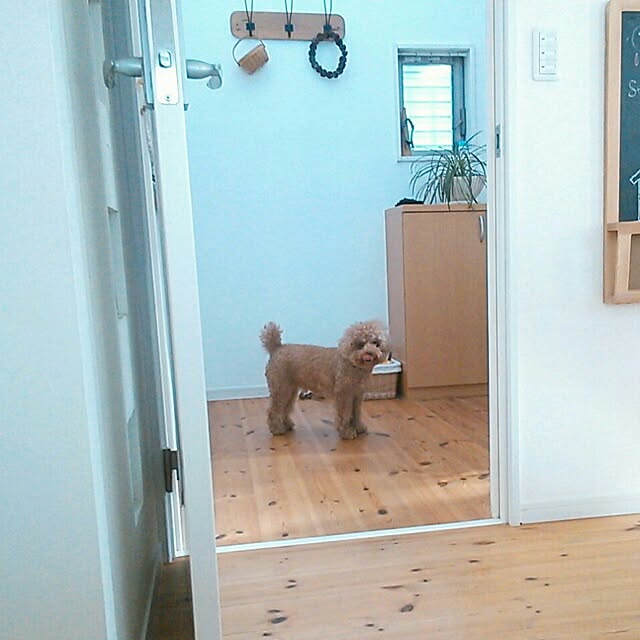 suzuさんの実例写真