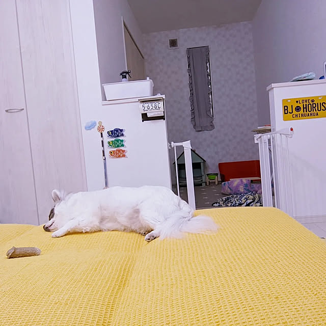 bjhorusさんの実例写真