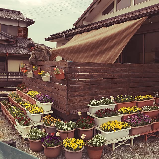 cocoithuさんの実例写真